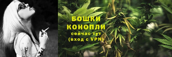 PSILOCYBIN Бородино